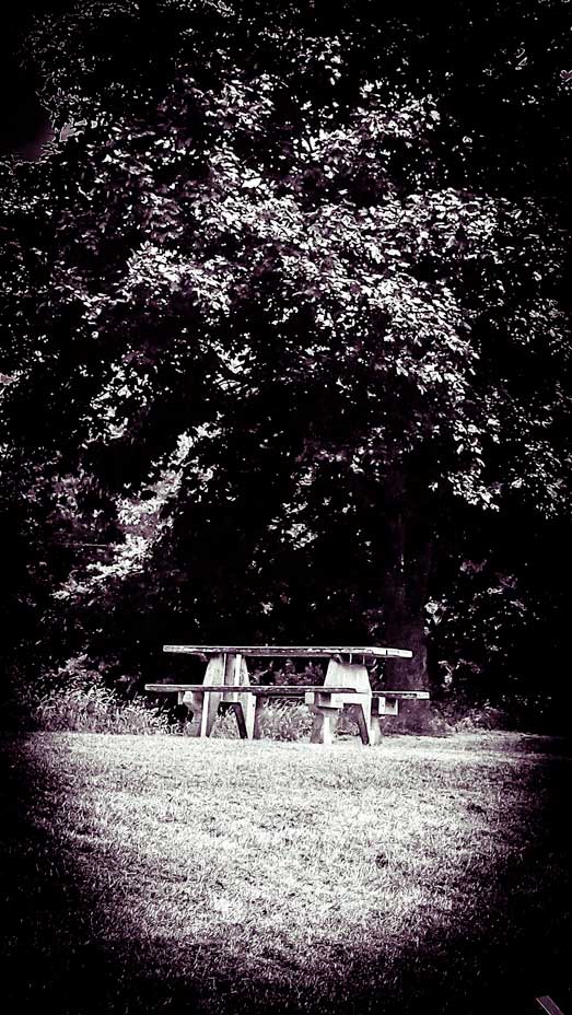 Lonely-Table-from-book