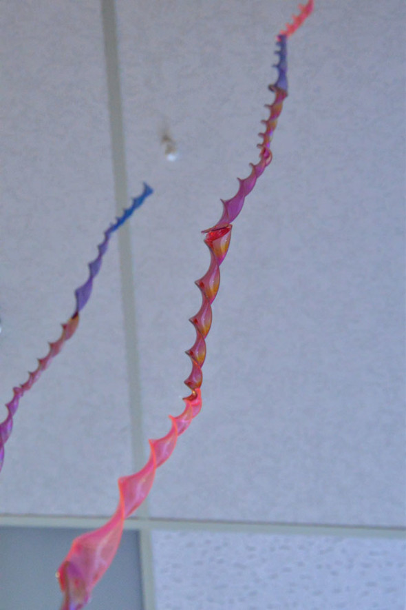 giant-rainbow-spinners-below-web